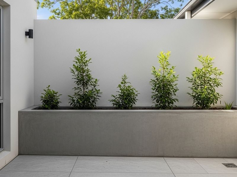 Plain Concrete Driveways Kedron Qld